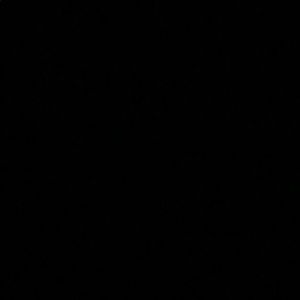 Meet your Posher, Noah